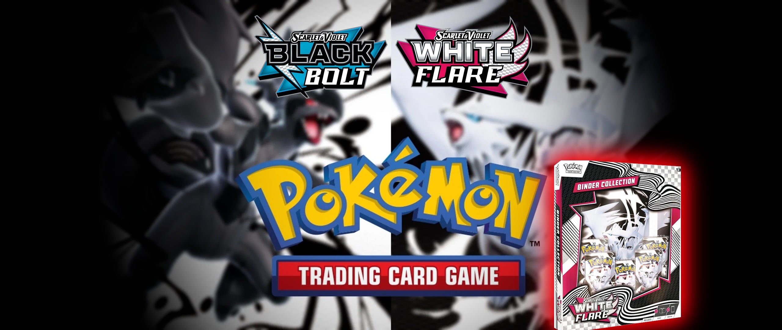 Banner main image